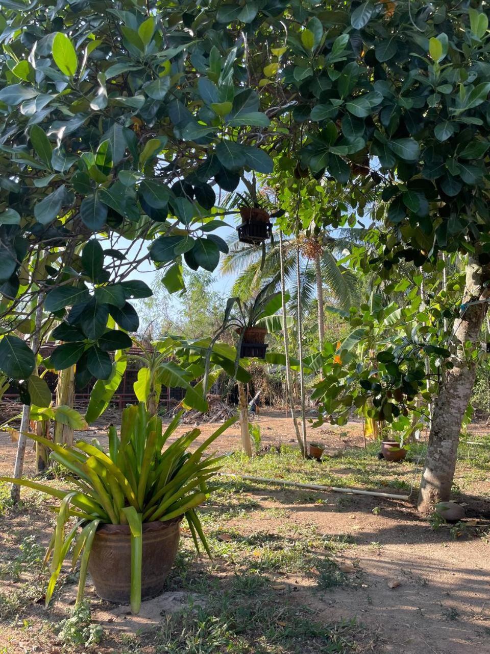 Vakantiehuis Maikhao Island 11 *