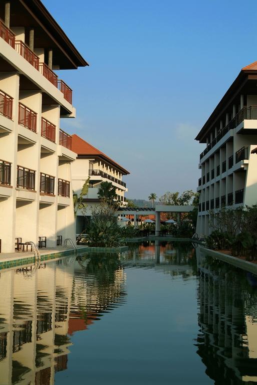 D Varee Mai Khao