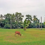 Maikhao Residence