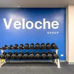 The Ark At Veloche Group By Lofty
