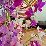 Cocoon Omaya Guest House