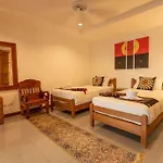 Coconut Palms Huge Swimming Pool And Pool Table V136