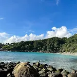 The Viva Patong