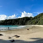The Viva Patong
