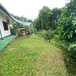Green House 1
