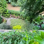 Ideo Phuket Hotel - Sha Extra Plus