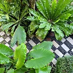 Ideo Phuket Hotel - Sha Extra Plus