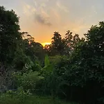 Green House 2
