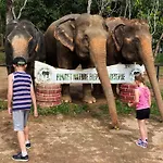 Snooze Inn Phuket - Free Shuttle To Bang Rong Pier