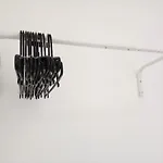 The Wang