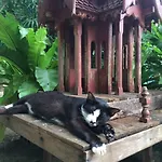 Fern House Retreat