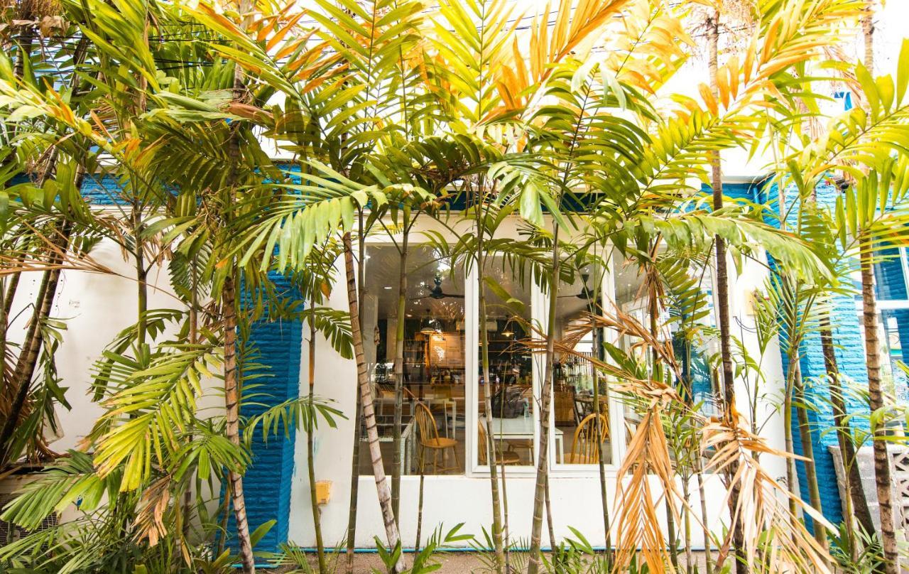Up 2 You Cafe & 3* Patong