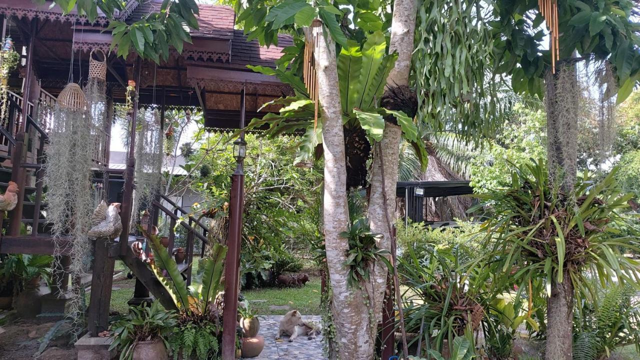 Marin' S Gasthof Landkreis Thalang