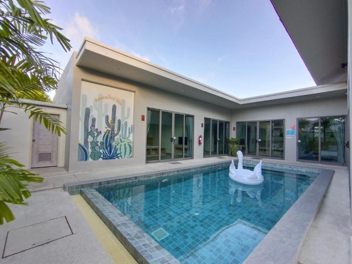 Areeca Pool - Sha Plus