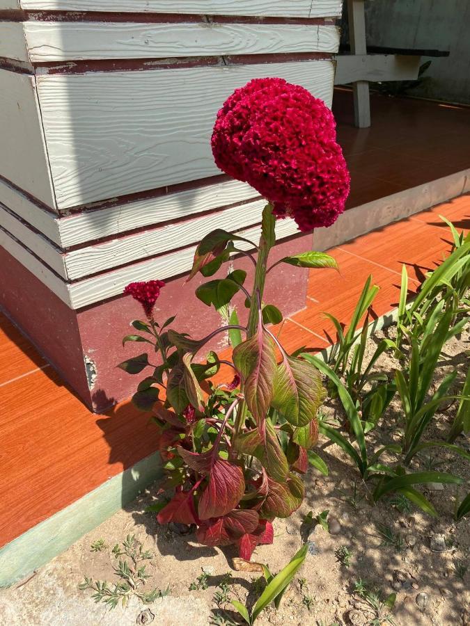 Suntalee House Guest house