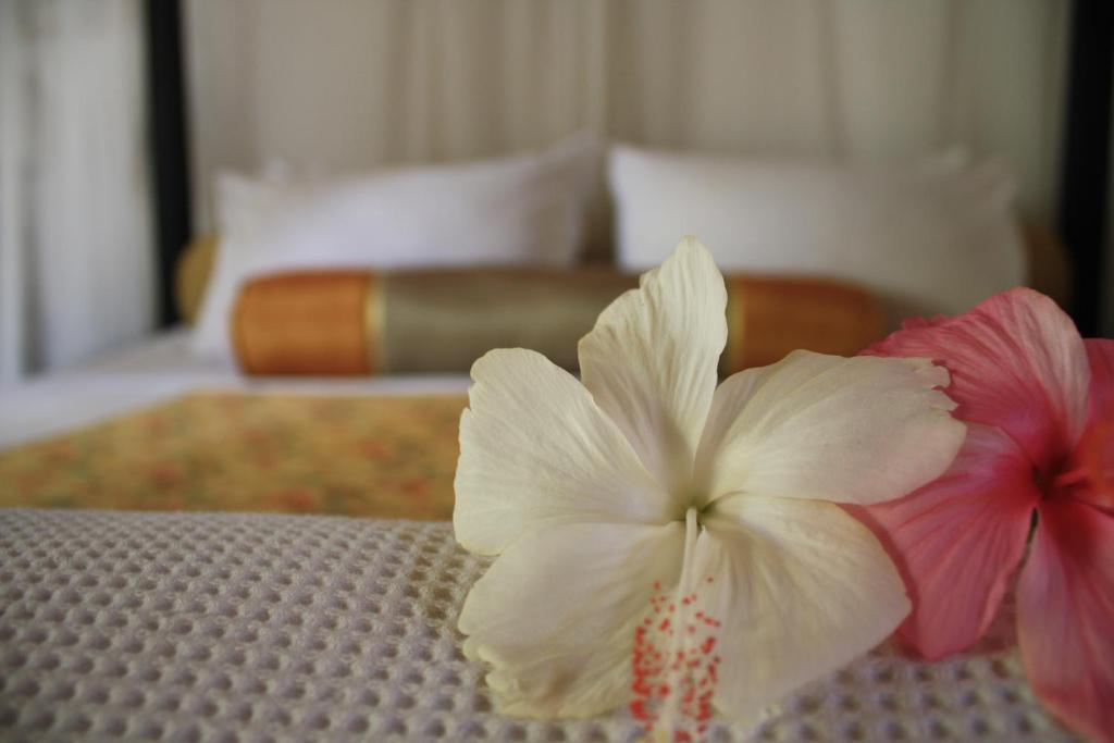 Sea Pines & Liberg Tempat peranginan 3*