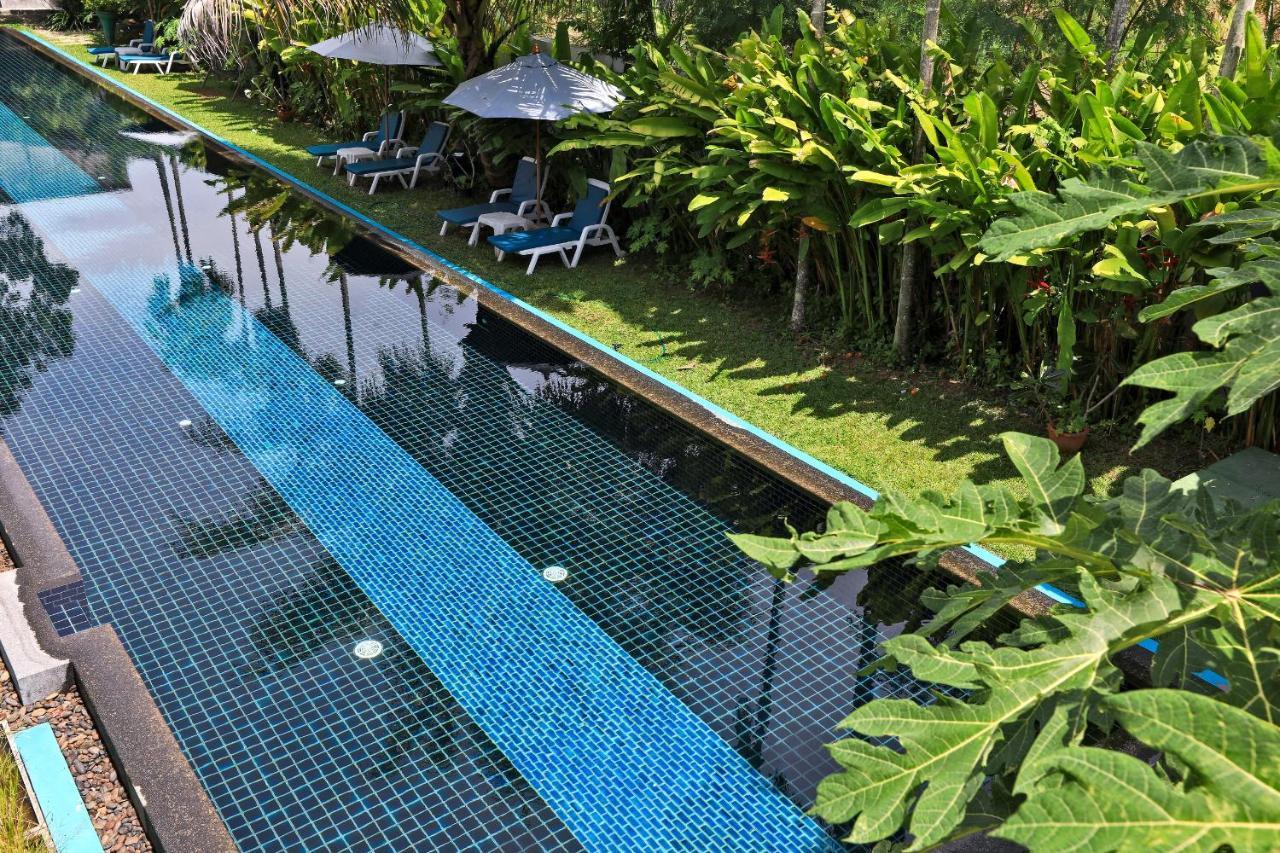 Hotel Tea Tree Boutique 4*