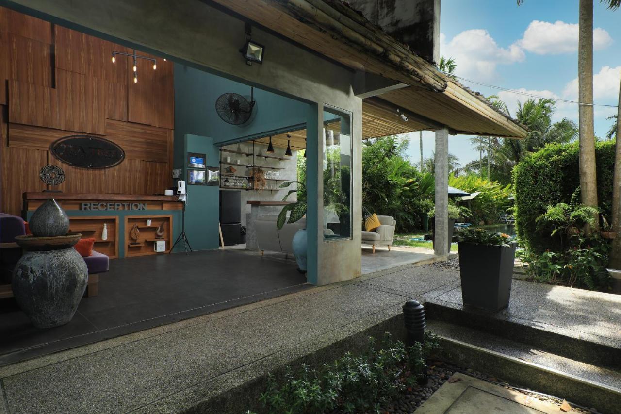 Tea Tree Boutique 4*