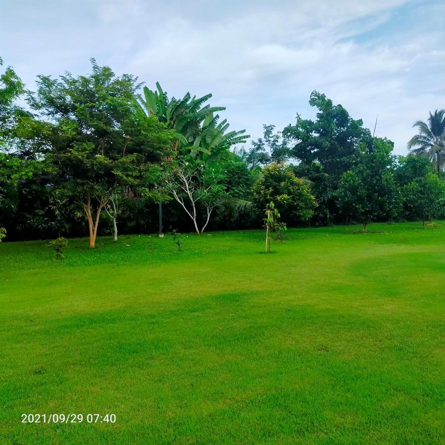 Vakantieboerderij Davy Phuket *