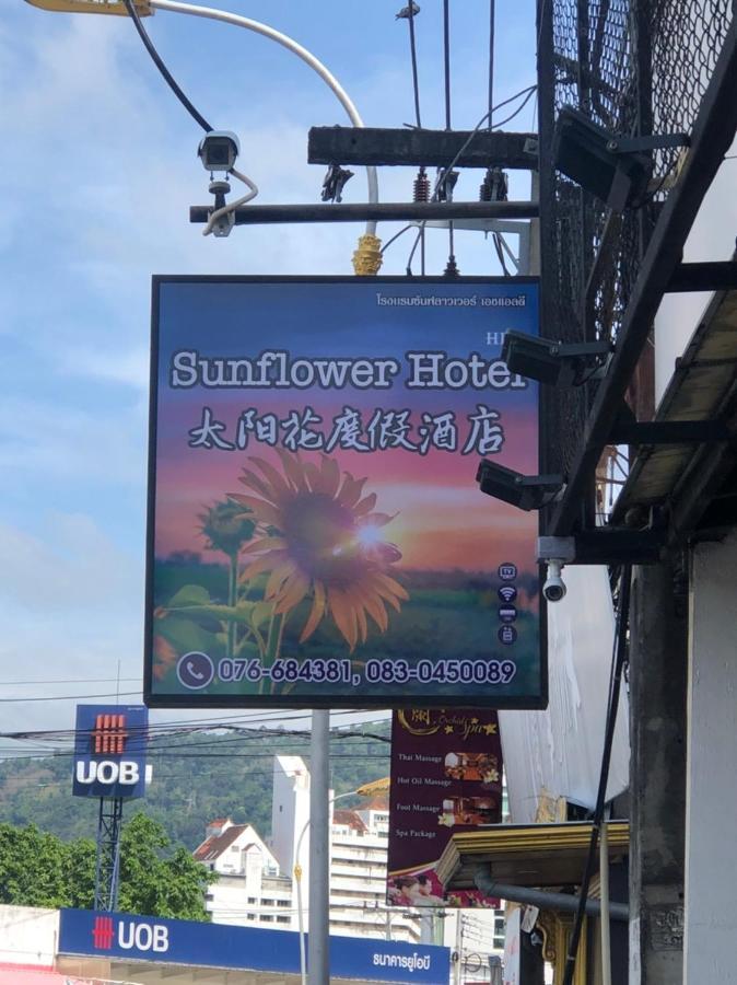 Sunflower 2*
