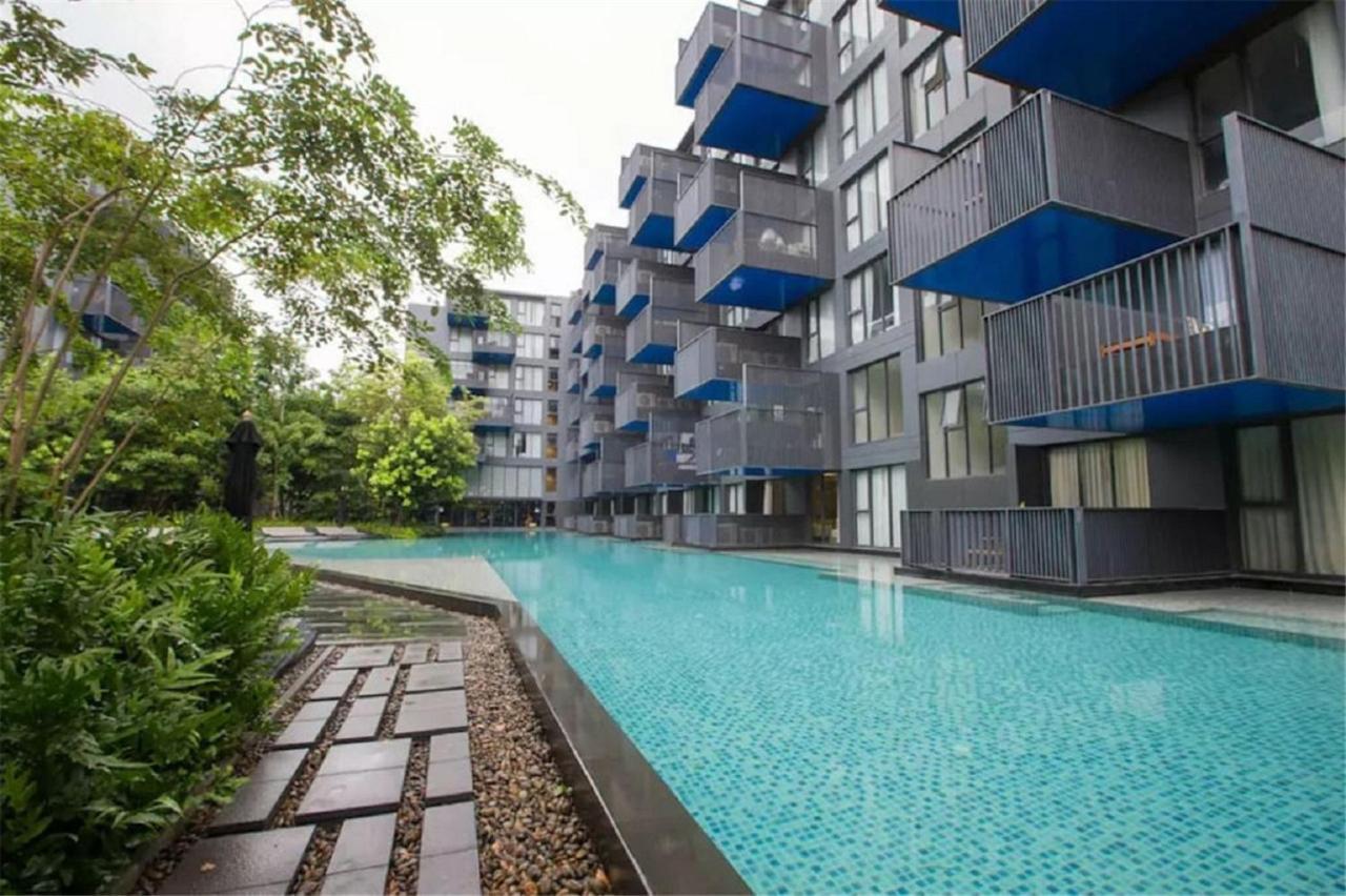 Apartment The Deck Luxury The Deck *