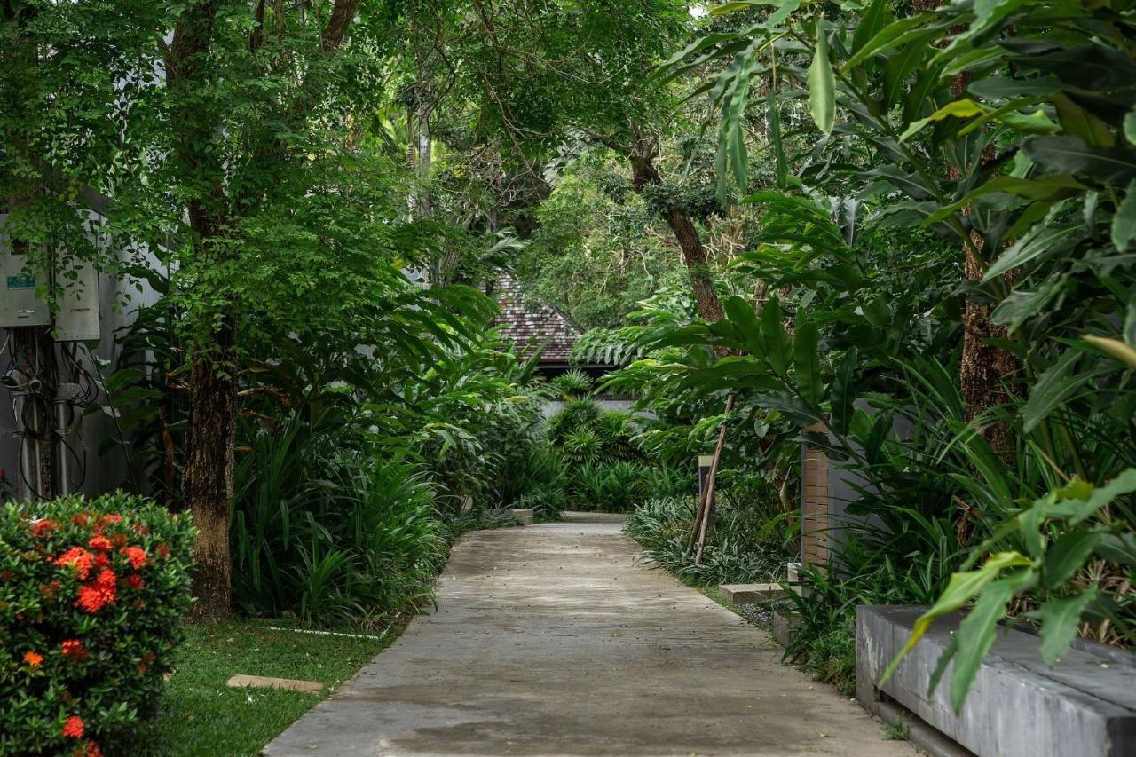 Villa Raas | Private Pool | Baan Bua Estate By Tropiclook | Naiharn Nai Harn