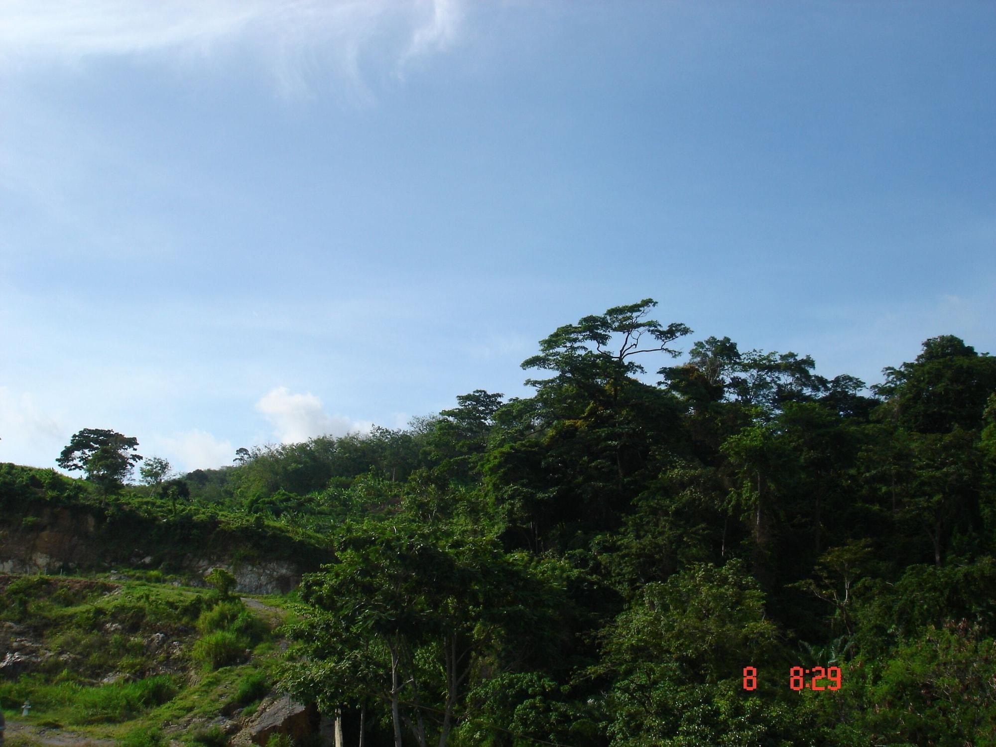 Lamai Guest house Patong