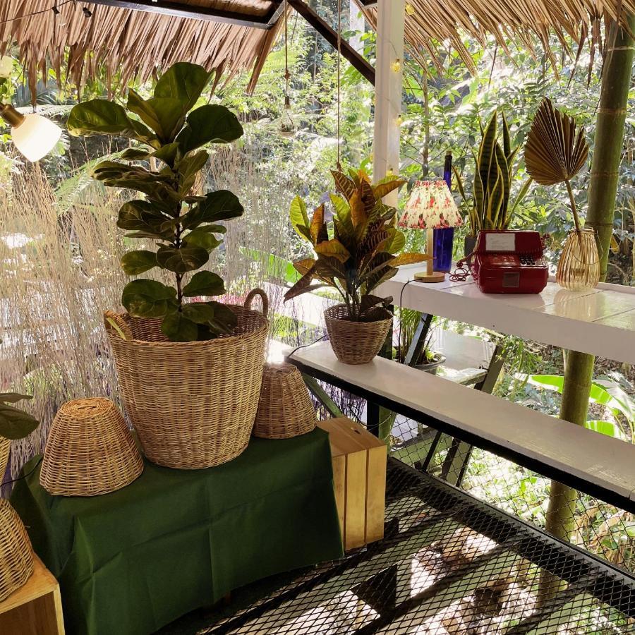 Bed & Breakfast Nua Tone & Cafe