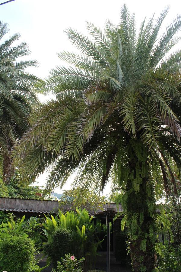 B Happy - Sha Extraplus Aparthotel Kamala Beach