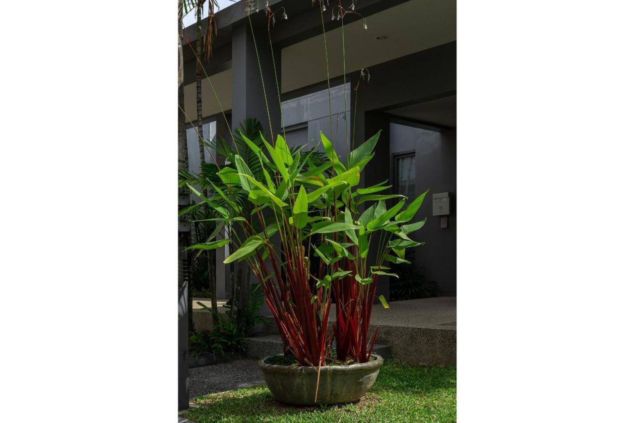 Emere | Private Pool | Onyx By Tropiclook | Naiharn Villa *