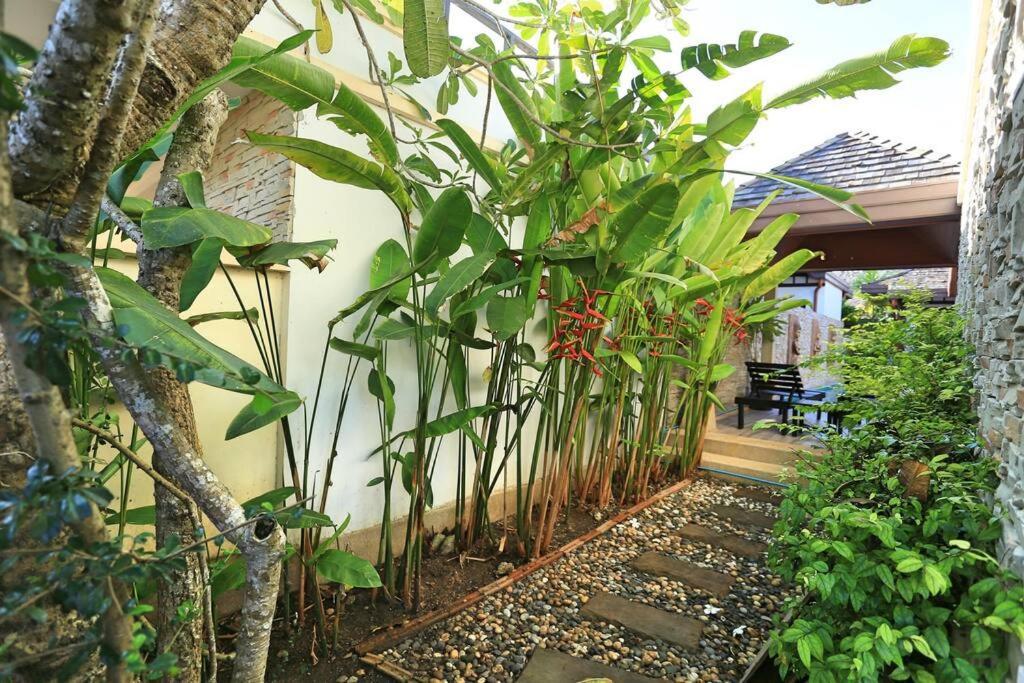3bedroom Pool Only 250m To The Rawai F10 *