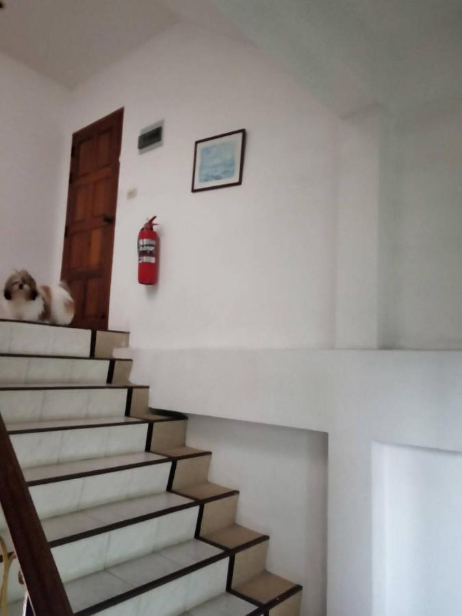 Hotel Ban Elephant Blanc 3*