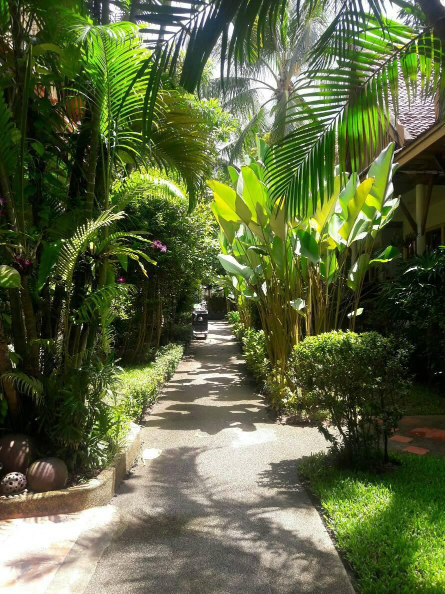 Bangtao Village - Sha Bang Tao Beach (Phuket)
