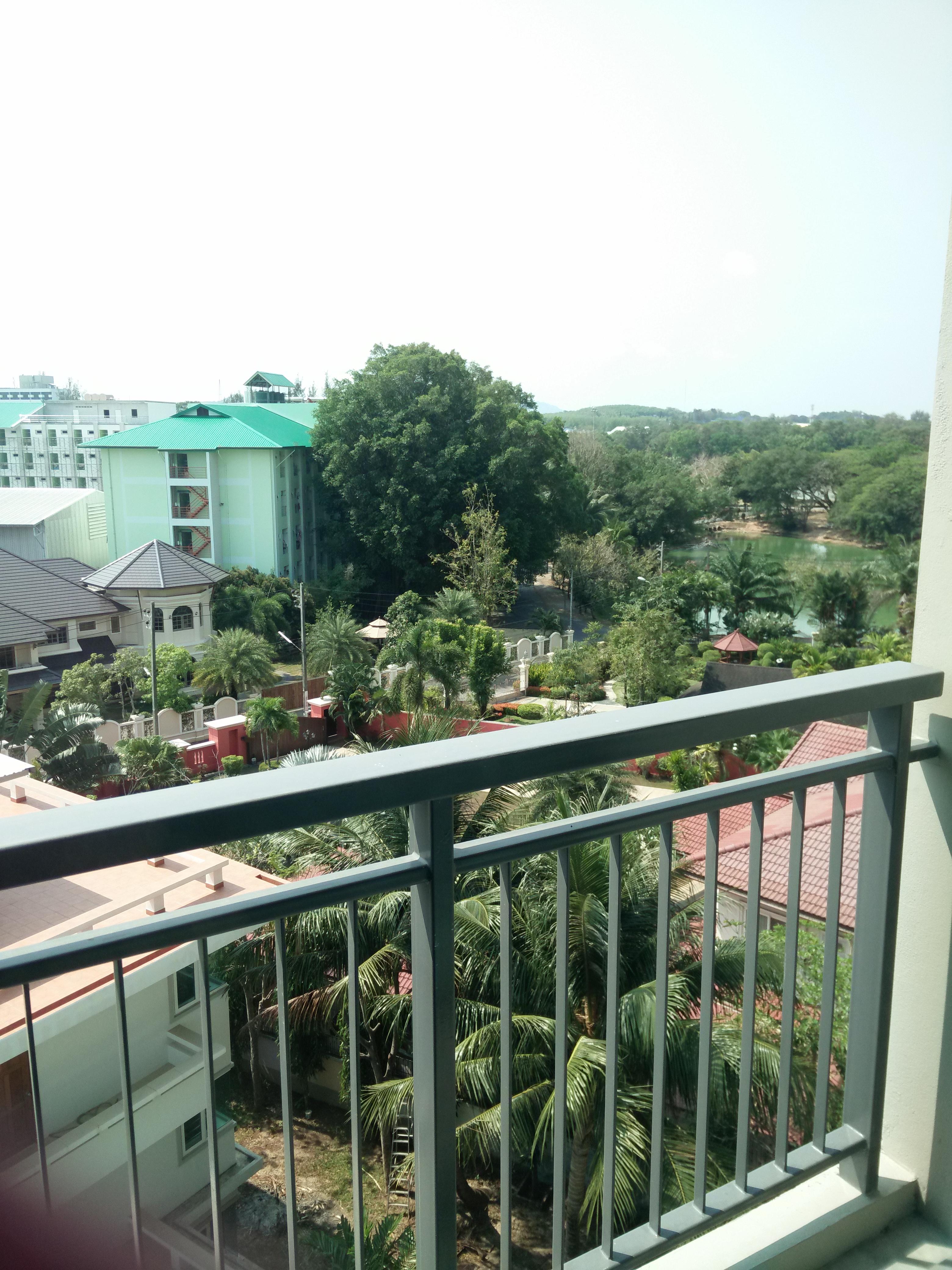 Sugar Palm 3*