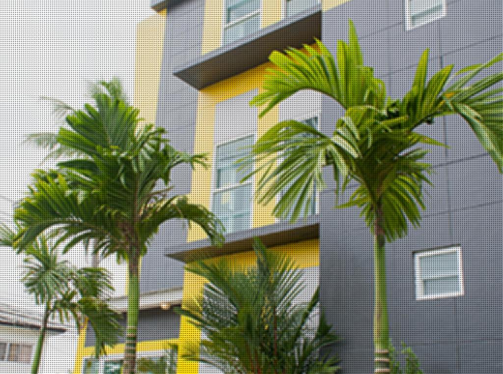 Hostel The Sunflower Phuket