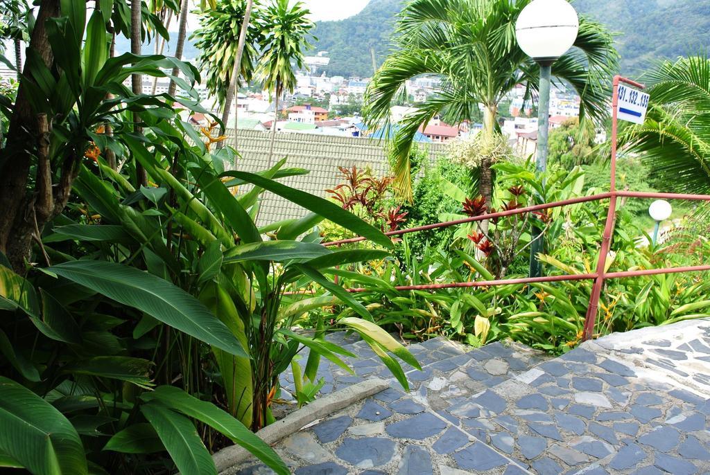 Royal Crown & Palm Hotel 3*