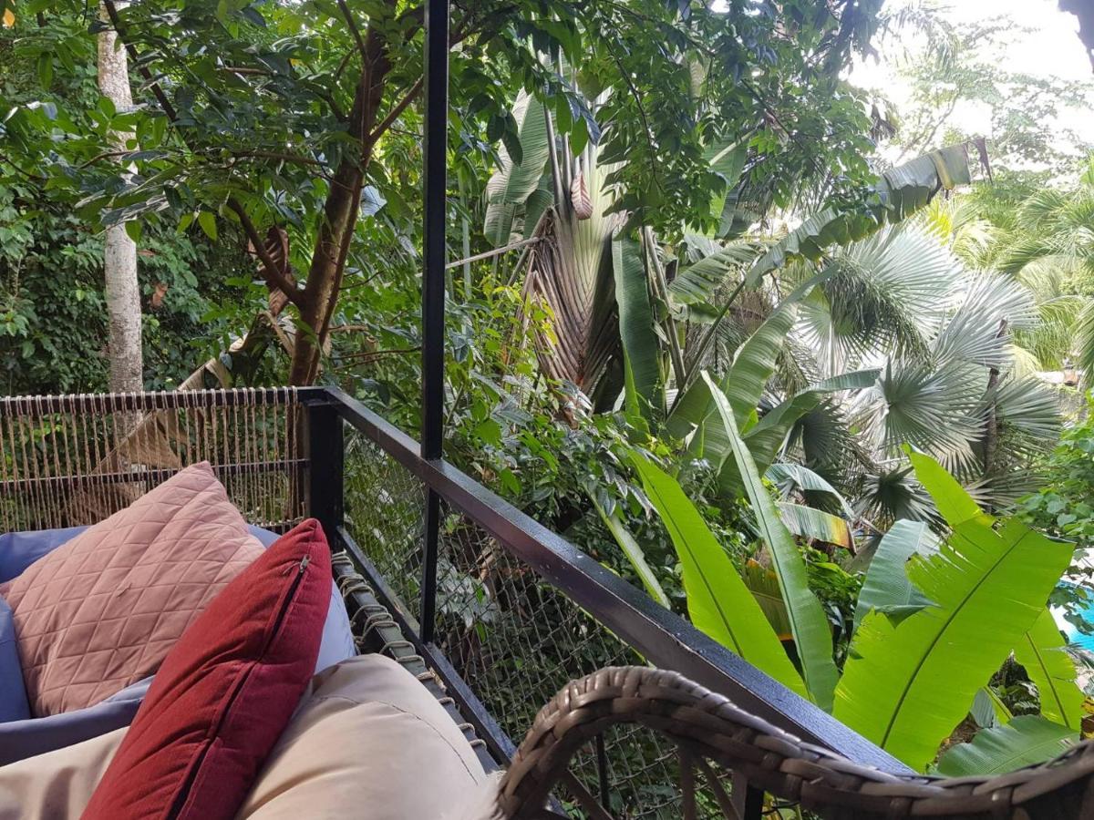 Nua Tone & Cafe Bed & Breakfast
