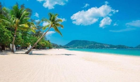 Willow Boutique Hotel Patong