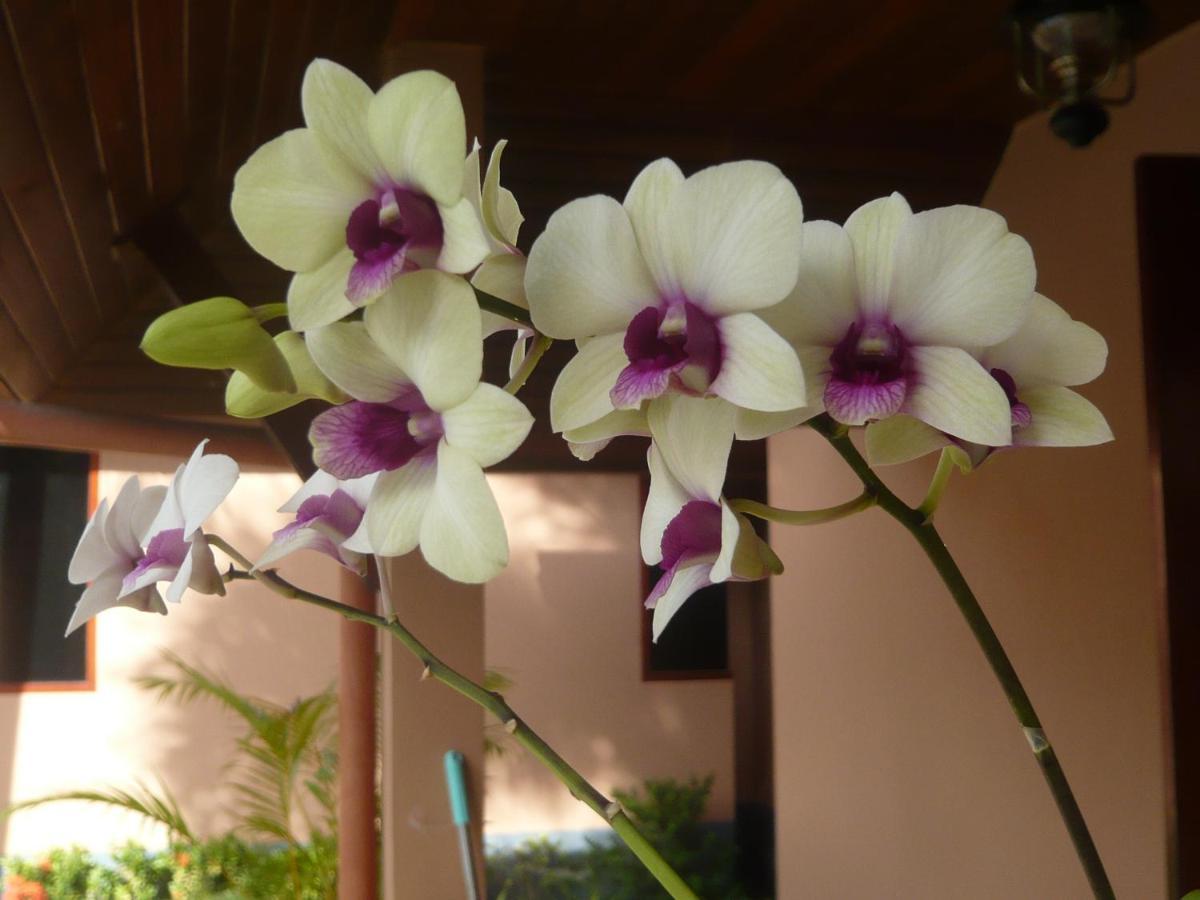 Hotel The Pace Phuket Boutique Rawai