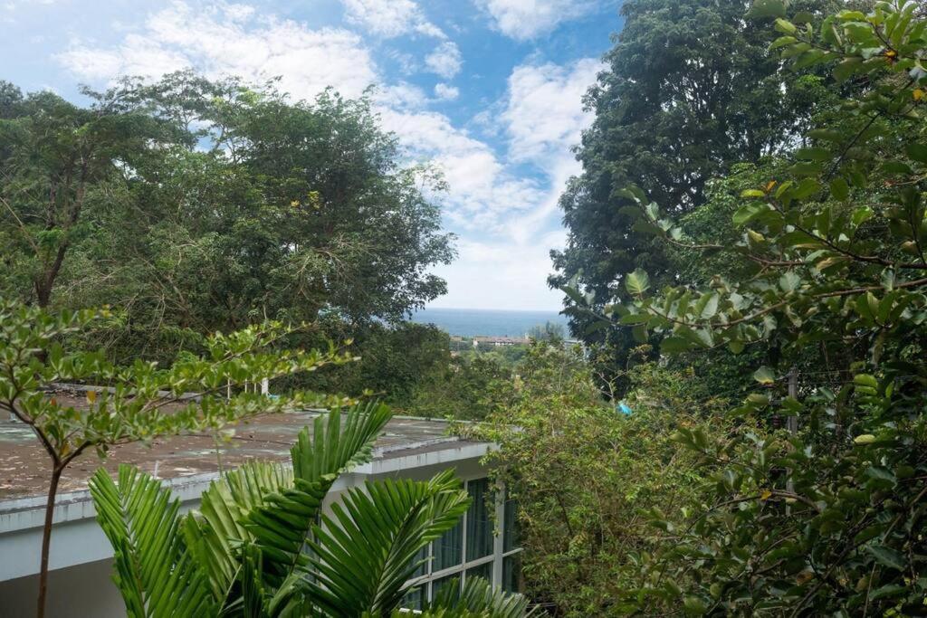 Apartment The Tree Seaview And Quiet Surrounded By Trees 75smetre *