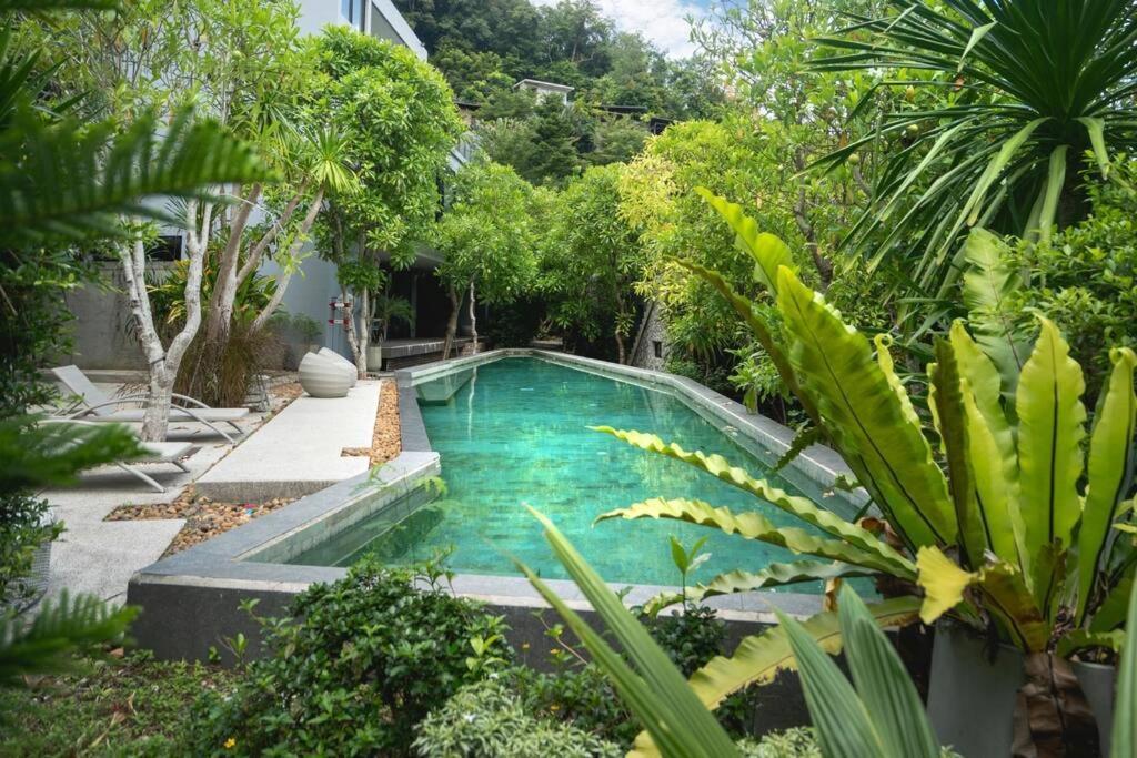The Tree Seaview And Quiet Surrounded By Trees 75smetre Apartment