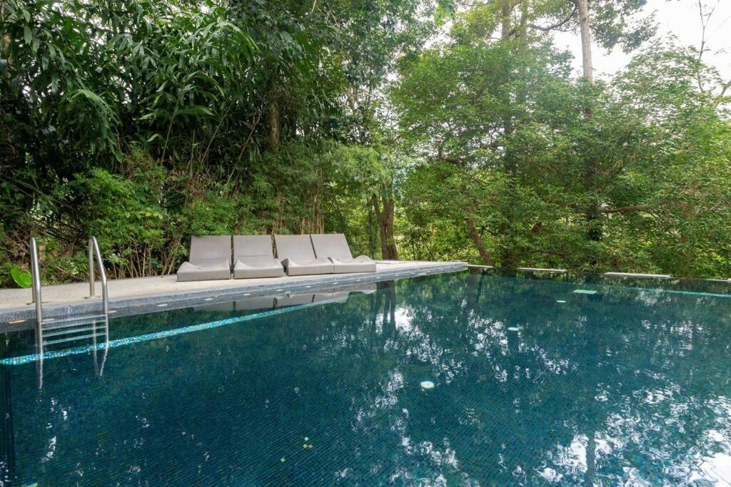 Apartment The Tree Seaview And Quiet Surrounded By Trees 75smetre