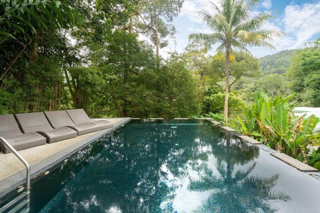The Tree Seaview And Quiet Surrounded By Trees 75smetre Kamala Beach