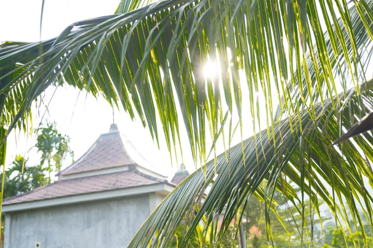 Anodard Phuket, Nai Yang