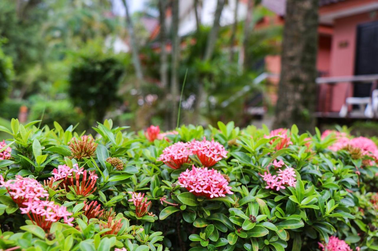 Resort Andaman Seaside Bangtao Beach 3*