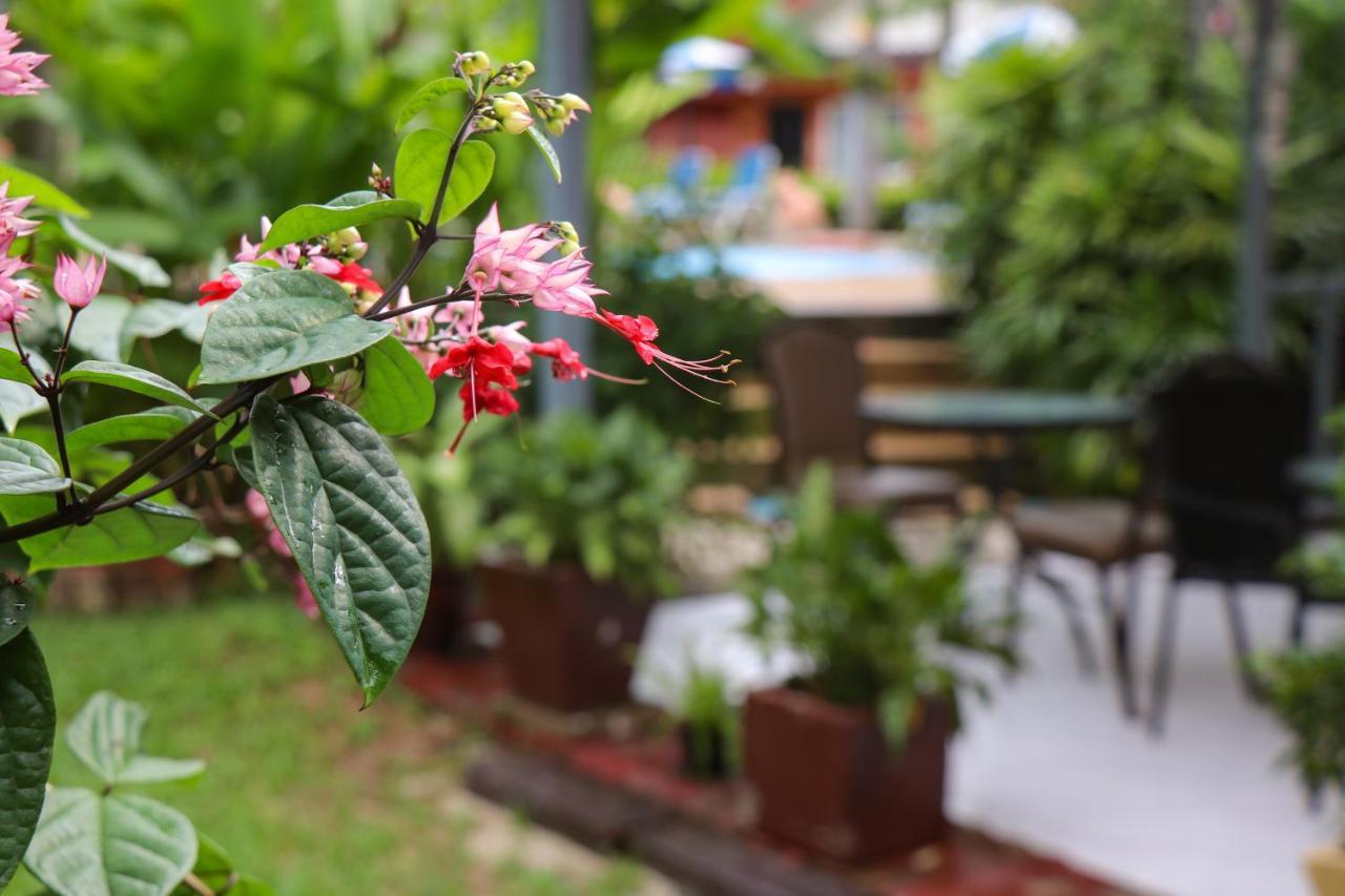 Resort Andaman Seaside Bangtao Beach