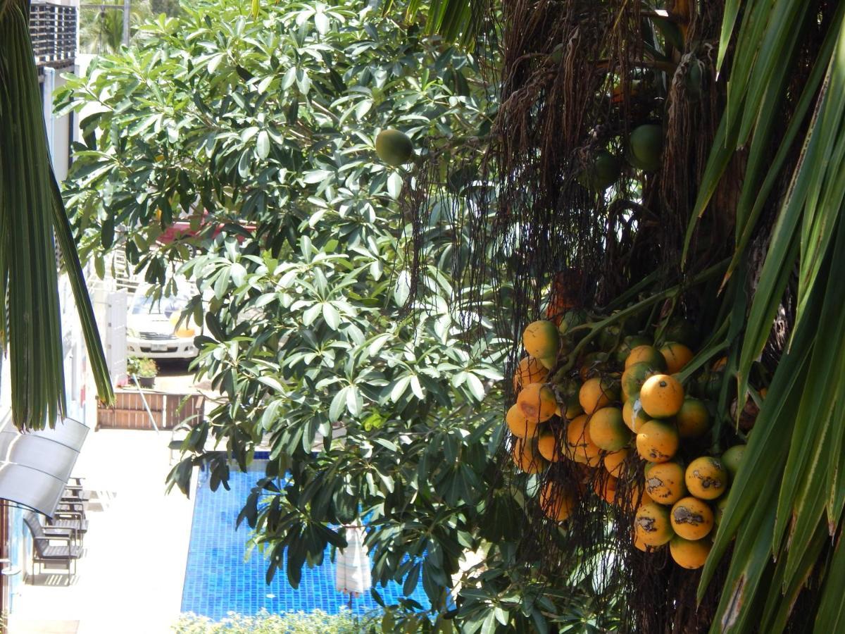 Jinta Andaman Hotel Kata Beach (Phuket)