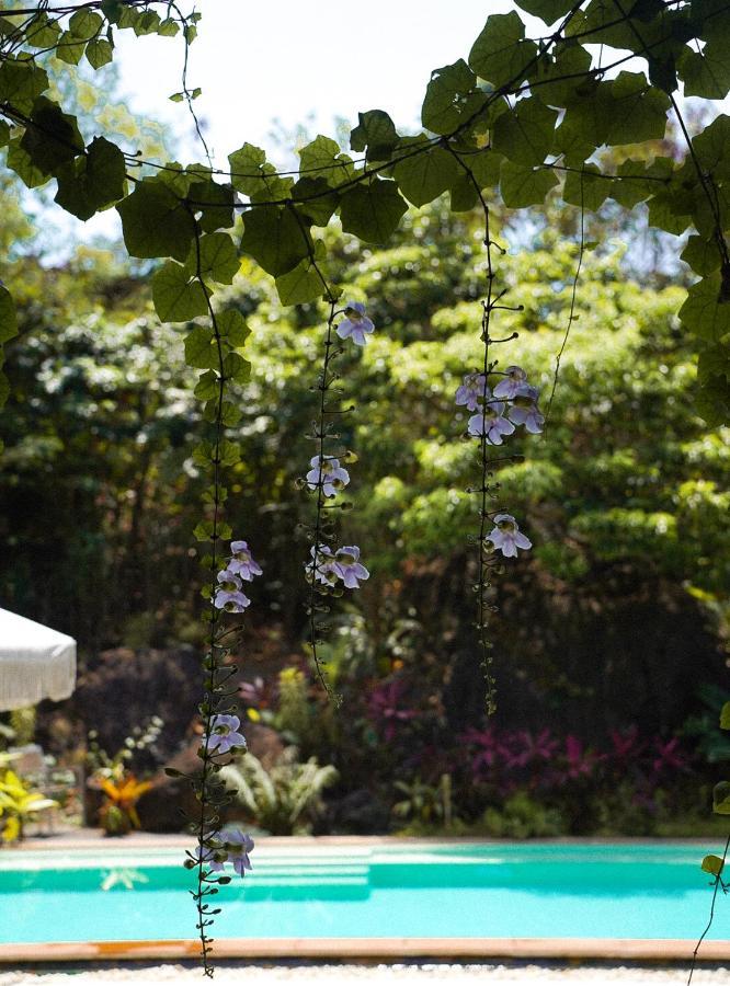 Roost Glamping - Sha Certified Rawai