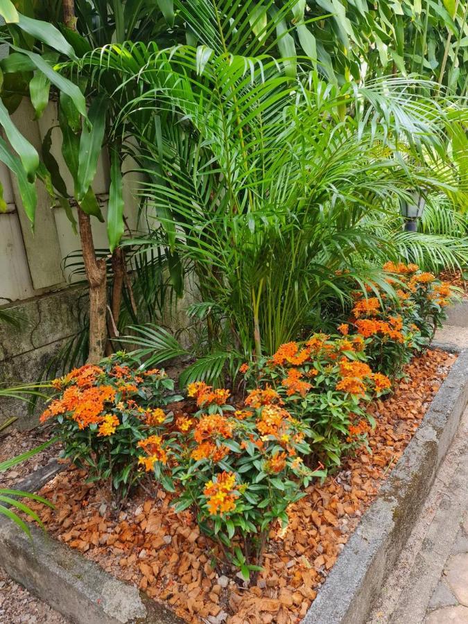 Momento Bangtao Bed & Breakfast Bang Tao Beach (Phuket)