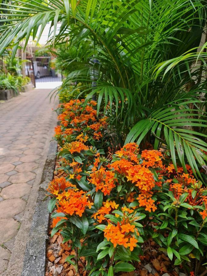 Bed & Breakfast Momento Bangtao Bang Tao Beach (Phuket)